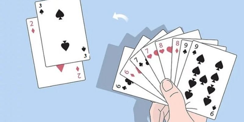 đôi heo chặt mấy đôi thông